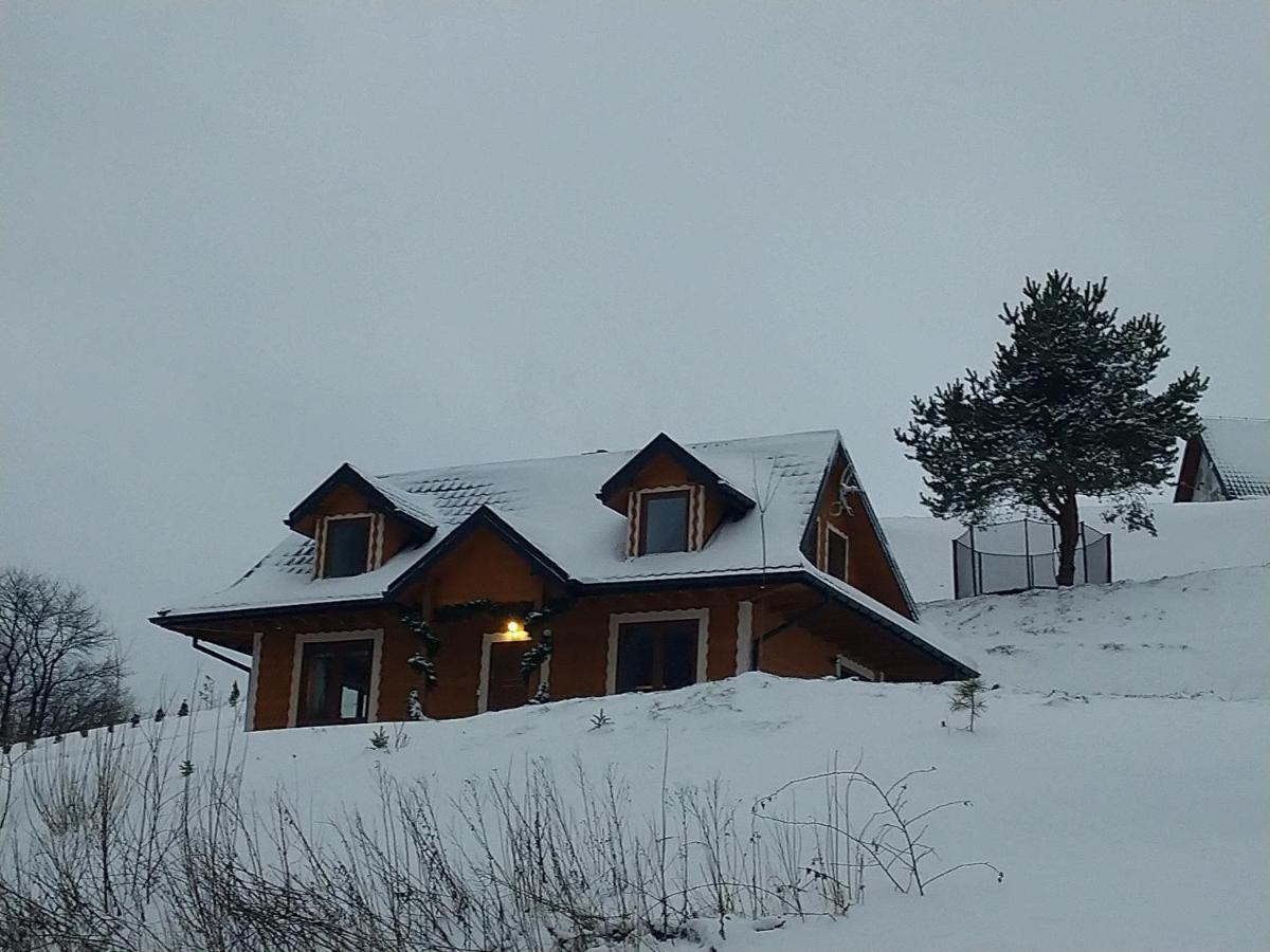 Lesny Dworek 1 Wolkowyja Exterior photo